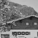 Landhaus Winkler Alm Casa de hóspedes Saalbach-Hinterglemm