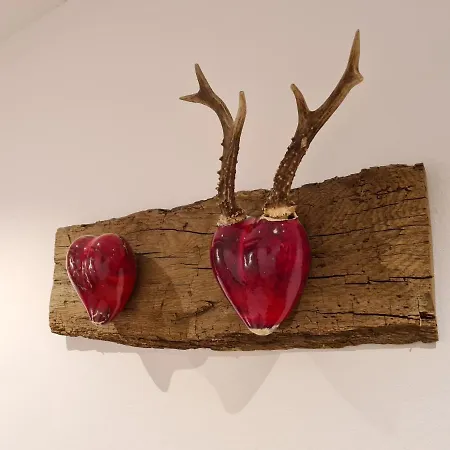 Landhaus Winkler Alm * 萨尔巴赫