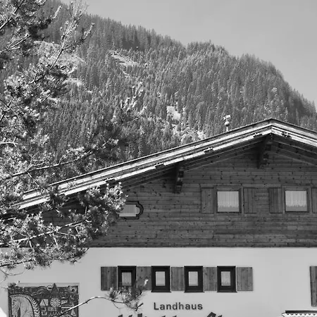 Landhaus Winkler Alm 招待所 萨尔巴赫