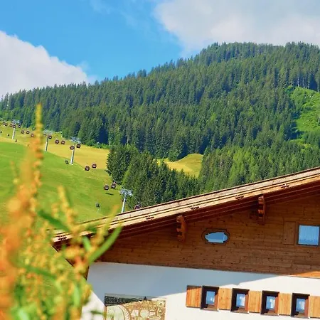 Landhaus Winkler Alm * 萨尔巴赫