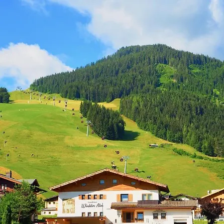 Landhaus Winkler Alm * 萨尔巴赫