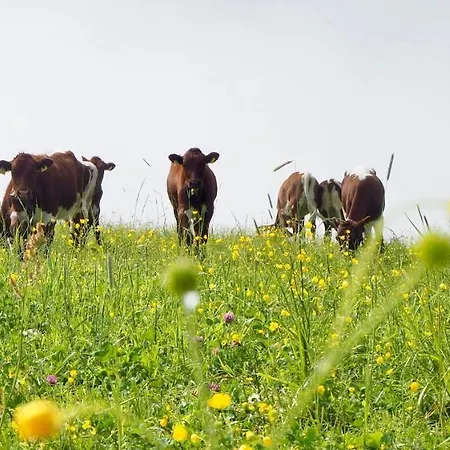 Landhaus Winkler Alm *