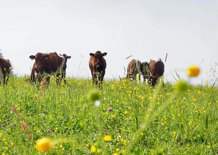 Landhaus Winkler Alm *